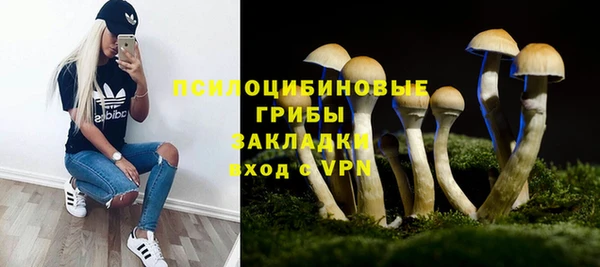 ГАЛЛЮЦИНОГЕННЫЕ ГРИБЫ Осташков